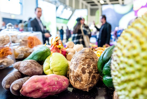 Fruit Logistica so international wie nie ‹ Fruchtportal